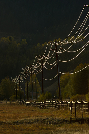 Reflections in telephone wires, Wyoming 2010