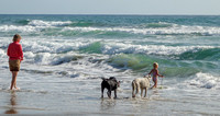 Dog Beach, May 2013