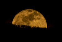 Moon rise, Salt Lake City 2011