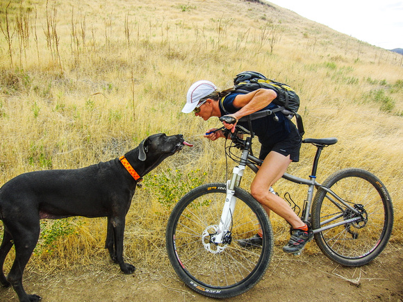 A thirsty dog, Shoreline trail, Tanya & Kiwi 2012