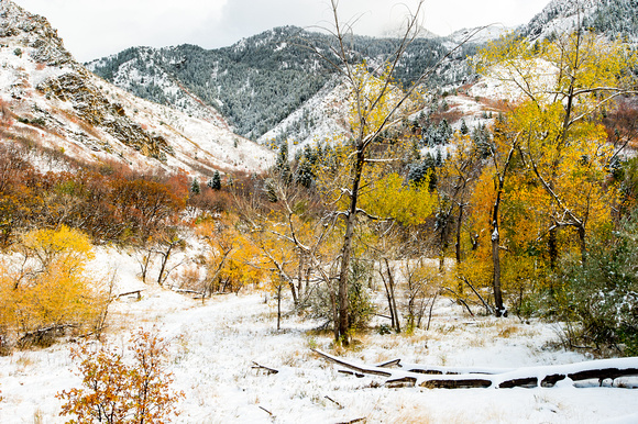Neff Canyon, first snow 2012