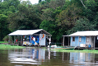The Amazon 2008