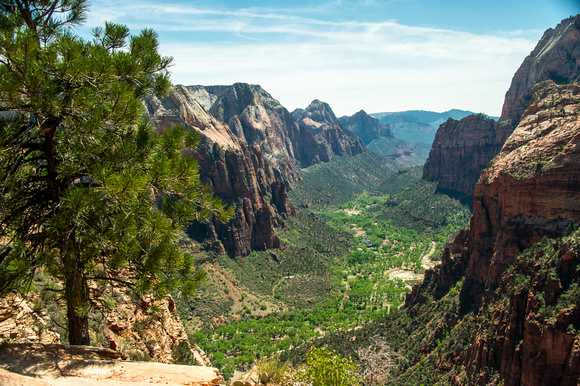View from Angels Landing April 2013