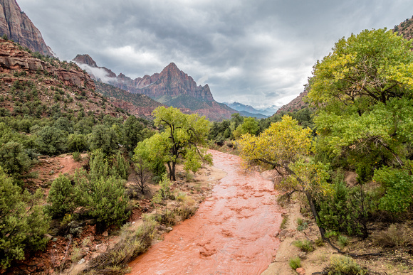 Virgin River with the Watchman in the background following rain 10-17-15