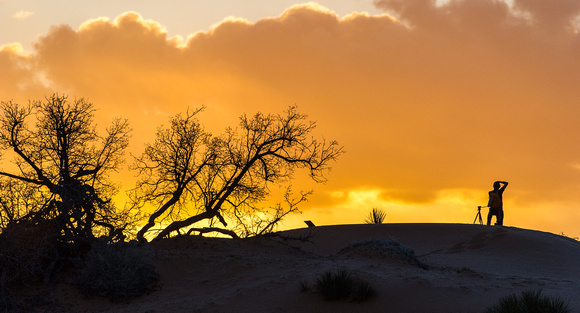 Sunset at the Coral Pink Sand Dunes