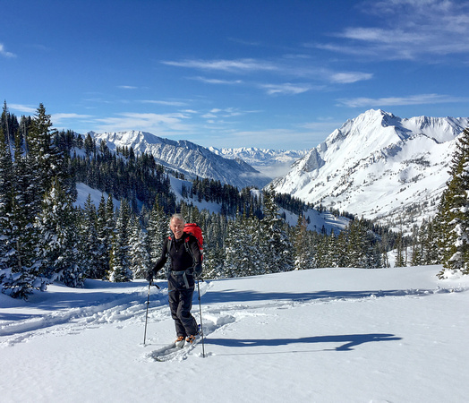 Alta, Grizzly Gulch, Honeycomb, 1-26-16