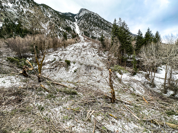 Avalanches in Little Cottonwood canyon April 2023