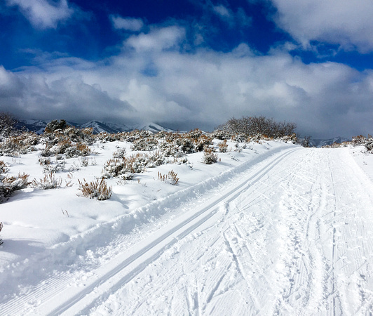 Round Valley ski trails, 1-24-16