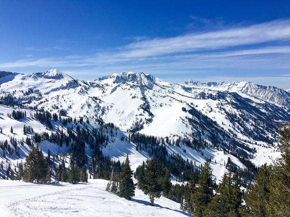 View from top of Grizzly Gulch, Alta 3-10-16