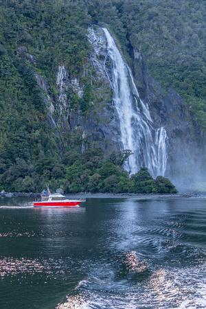 Countless waterfalls in Milford Sound