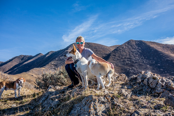 Tanya's dogs on Jack's Peak 11-25-17