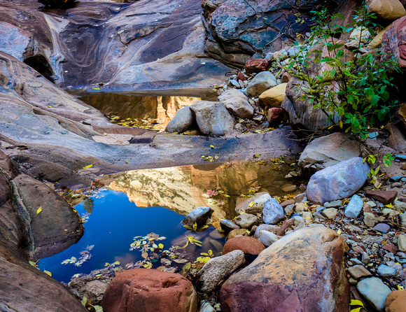 Reflections in Observation Point trail Echo Canyon 10-25-16