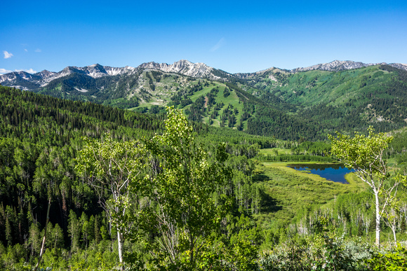 Willow Heights, Willow Lake, Big Cottonwood canyon 6-20-18
