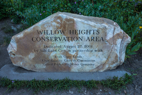 Will Heights, Big Cottonwood Canyon 6-20-18