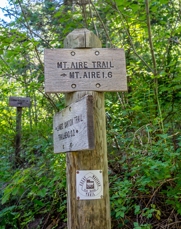 Mount Aire trail 7-7-18