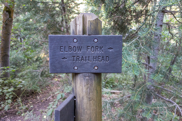Elbow Fork trail in Mill Creek 7-8-18