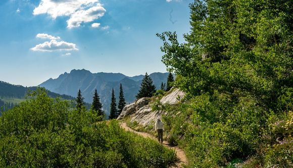 Catherine's Pass trail, Alta 7-23-18