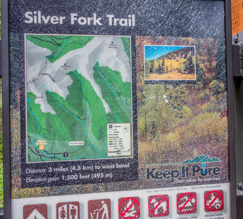 Silver Fork Trail  7-25-18