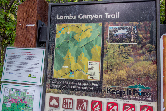 Lambs Canyon Trail 8-1-18