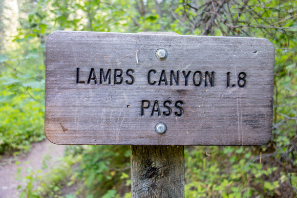 Lambs Canyon Pass trail 8-8-18