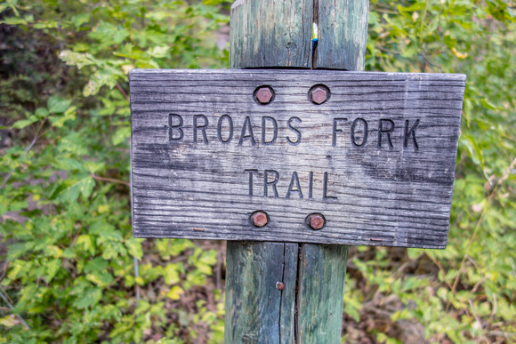 Broads Fork trail 8-29-18