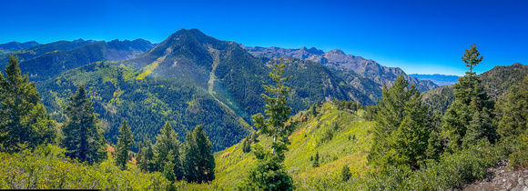Panorama from Mill A Basin trail 9/22/21