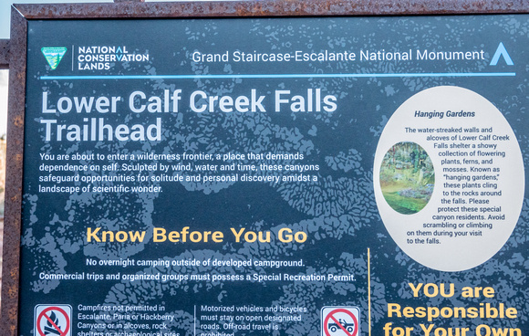 Lower Calf Creek Falls Trail 11/18