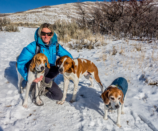 Tanya's hounds Walter, Roam and Lyle the Beagle 1/5/19