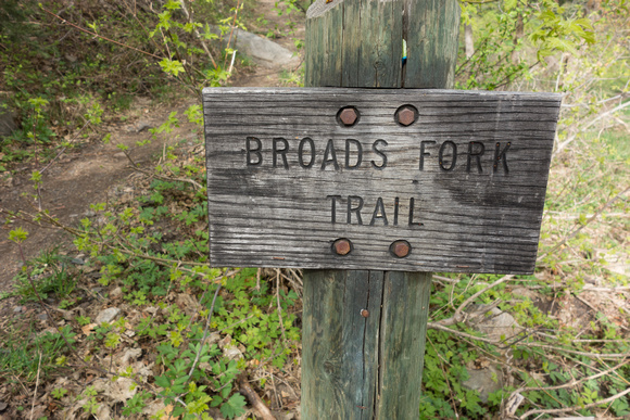 Broads Fork trail 5/16/19