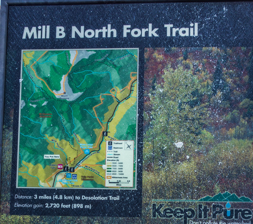 Mill B North Fork Trail, Big Cottonwood Canyon 6/19/19