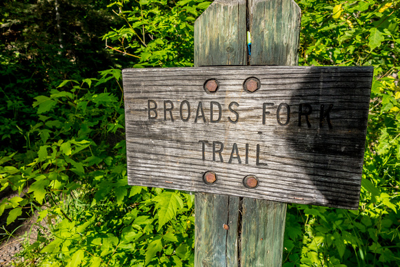 Broads Fork Trail 6/26/19