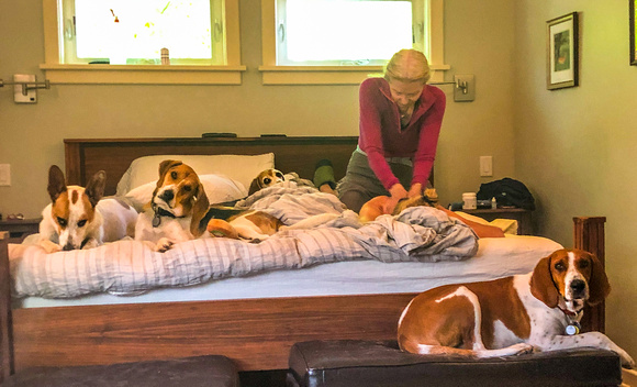 Gillean giving massage to Tanya. Dogs wondering what is going on. June 2019