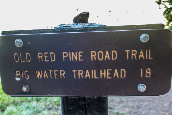Red Pine trail, 8/16/19