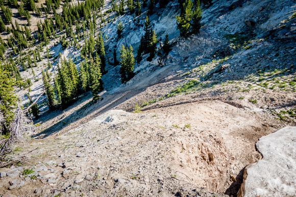 Top of Grizzly Gulch looking down into Silver Fork trail. 8/21/19
