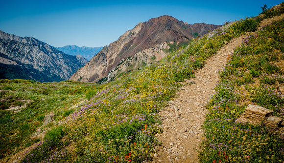 Grizzly Gulch trail to saddle 8/21/19