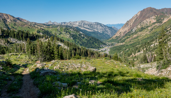 View from Grizzly Gulch into township of Alta 8/21/19