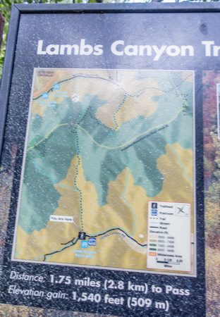 Lambs Canyon Trail 8/28/19