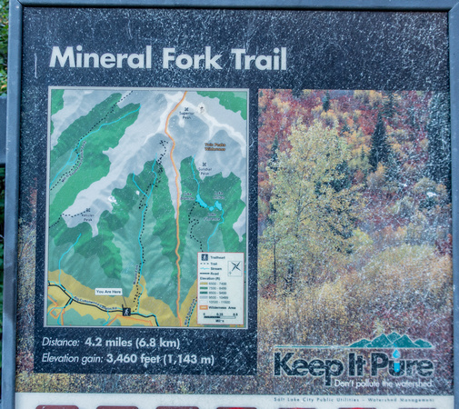 Mineral Fork trail 9/4/19