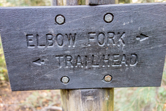 Elbow Fork trail 9/7/19