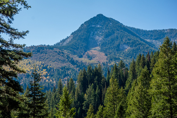 Butler Fork trail with view of Kessler Peak 10/16/19