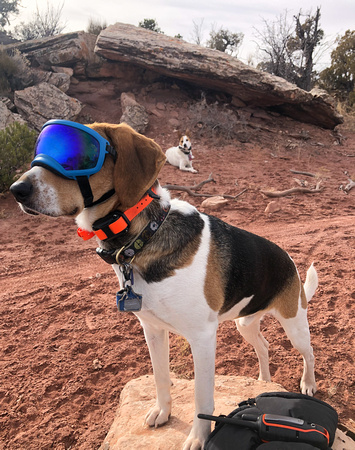 Walter with his goggles.
