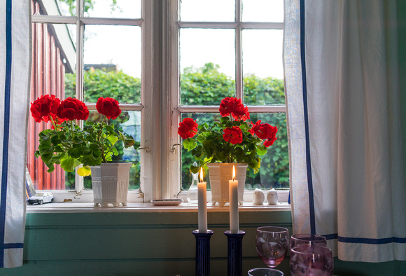 Flowers in the window. July 2014