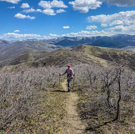 Lookout Peak trail 4/21/20