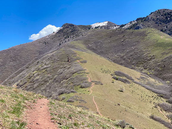 Grandeur Peak trail 4/26/20