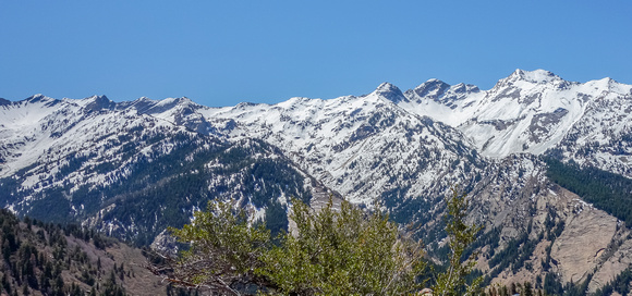 From the right side: Twin Peaks, O'Sullivan Peak, Dromedary Peak, Sundial, Monte Cristo, Mt Superior