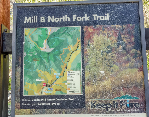Mill B North Fork Trail, 5/8/20
