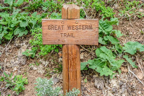 Great Western Trail starting at Big Mountain 5/15/20