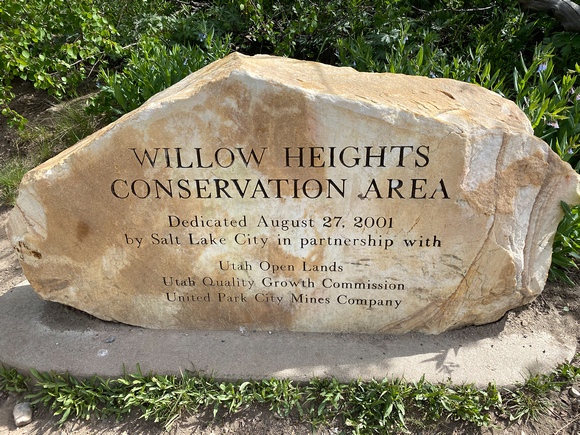 Willow Heights 6/2/20