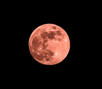 "Strawberry Moon", Salt Lake City 6/4/20