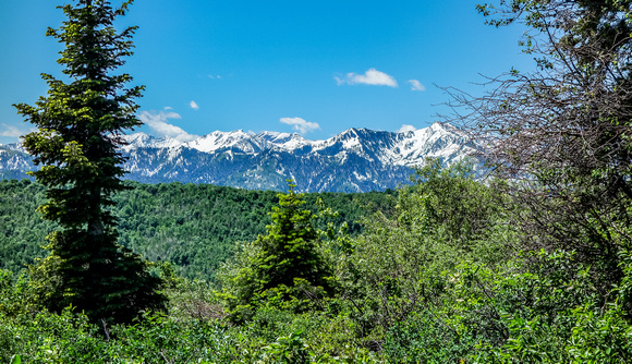 View of the Wasatch Mountains from Great Western trail 6/9/20